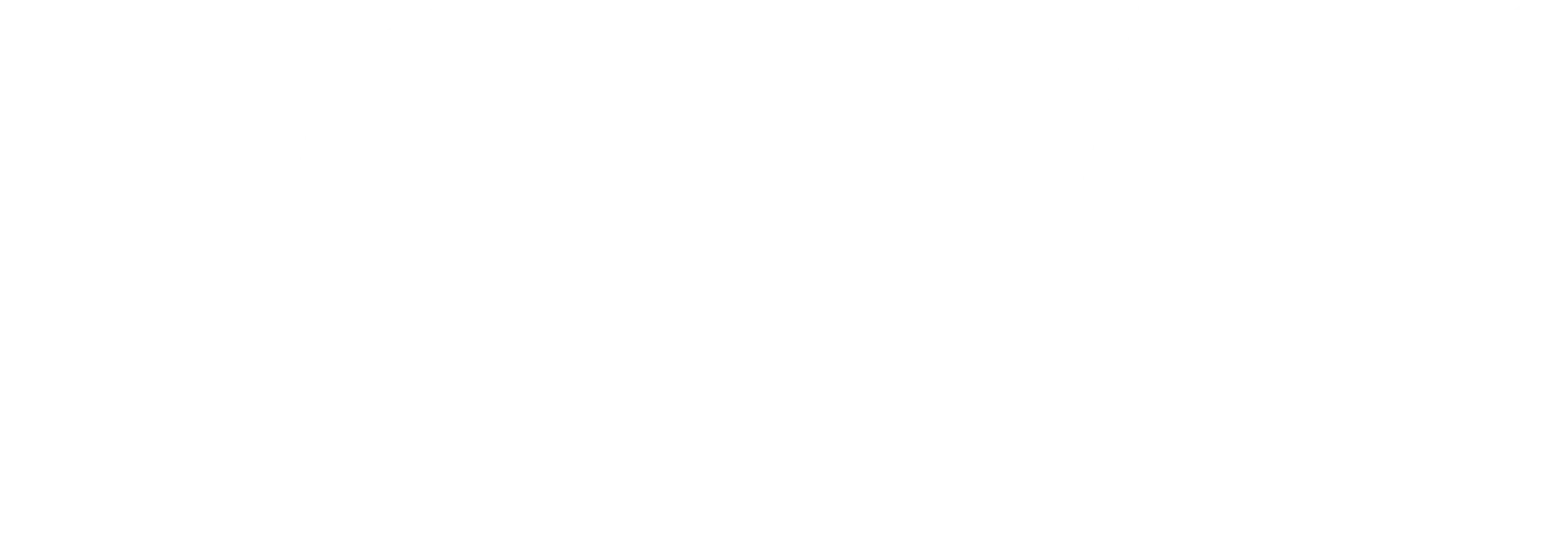 BOHA byTransAct Logo Light