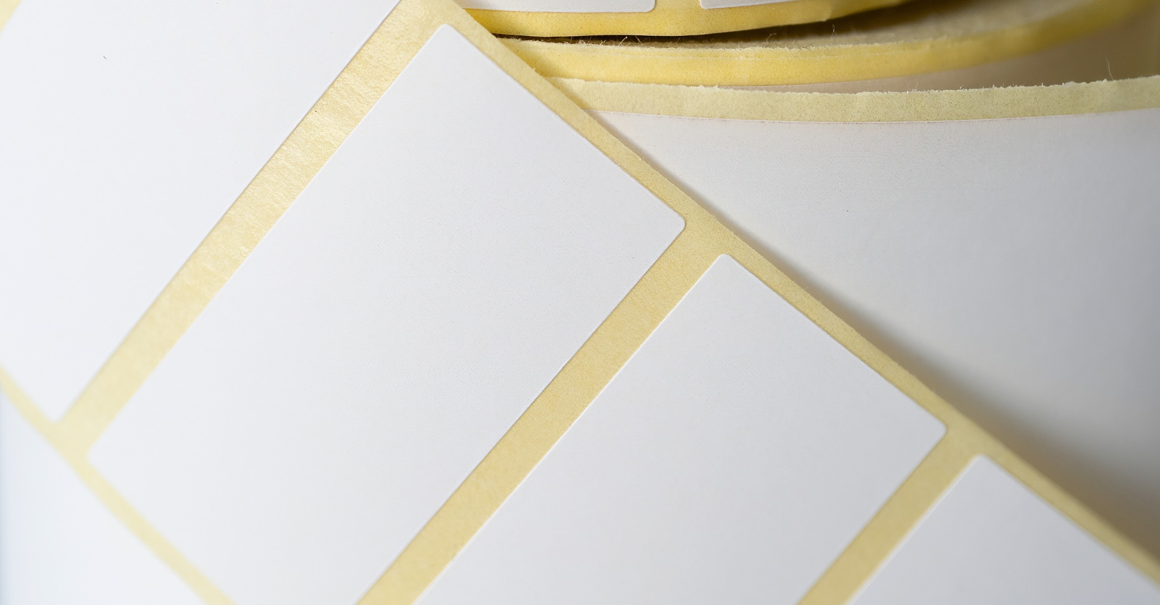 Close-up of blank food prep labels on a roll, representing the hidden operational costs of cheap food prep labeling systems.